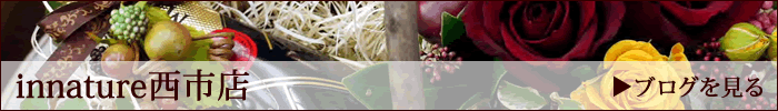 sXuO