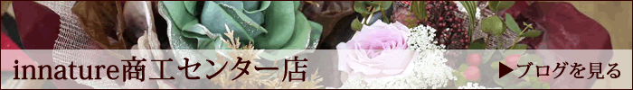 HZ^[XuO